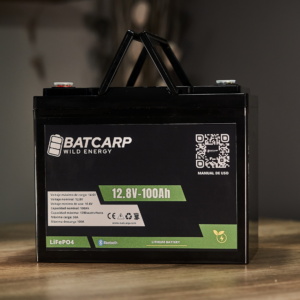 Batería LiFePo4 LFP412100 12V - 100Ah