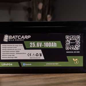 Batería LiFePo4 LFP424100 24V - 100Ah