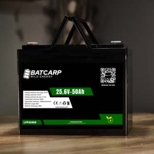 Batería LiFePo4 LFP42450 24V - 50Ah