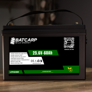 Batería LiFePo4 LFP42460 24V - 60Ah